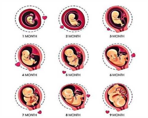 人工受孕危害：怀孕时做好这四件事，帮助你避