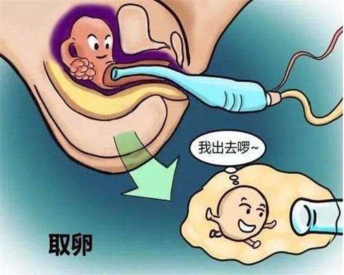 代怀孕公司_孕酮高不能移植鲜胚吗