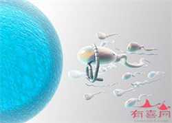 什么是生殖助孕_助孕公司_中国有代孕医院吗
