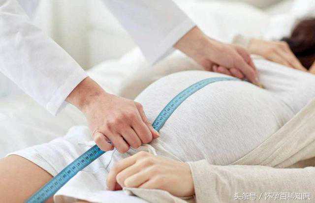 怀孕后肚子什么时候隆起？孕妈过早显怀要当心！