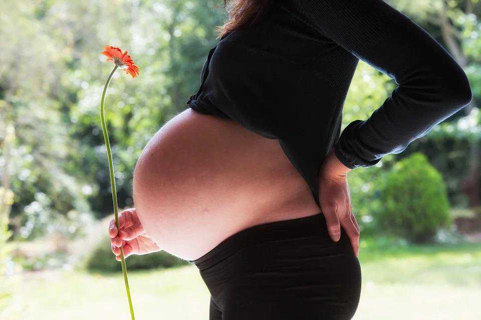 备孕怀孕的生活记录~怀孕真是个甜蜜的小烦恼